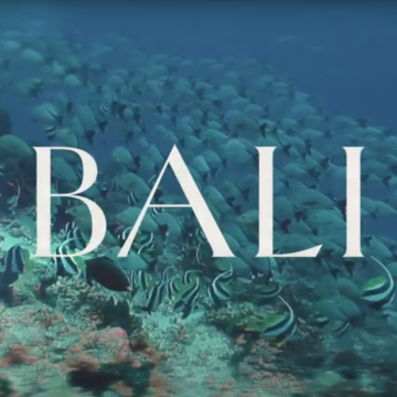 The Apurva Kempinski Bali Reintroduces Koral Restaurant – Bali’s First Aquarium Restaurant