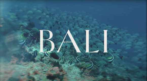 The Apurva Kempinski Bali Reintroduces Koral Restaurant – Bali’s First Aquarium Restaurant