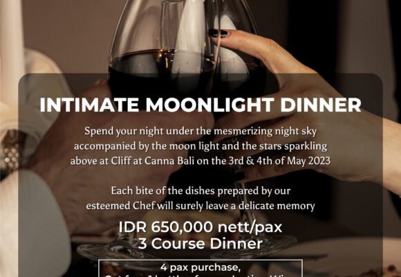 Intimate Moonlight Dinner